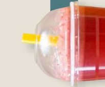 Jugo en Agua